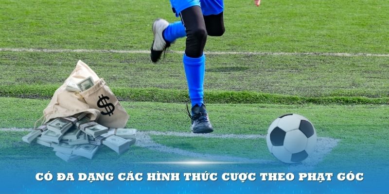 Có đa dạng các hình thức cược theo phạt góc cho thành viên lựa chọn