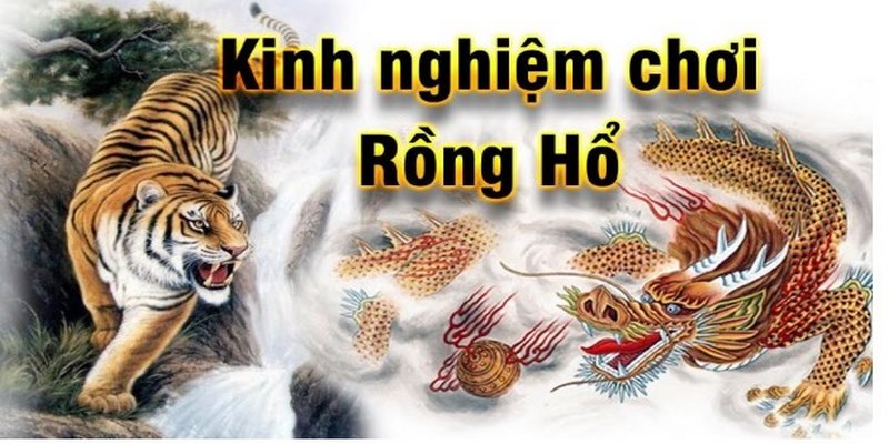 Kinh nghiệm chơi Rồng Hổ